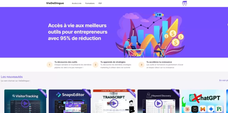 Avis ViedeDingue.com : Cette plateforme d’outils pour entrepreneurs une bonne affaire ou pas ?