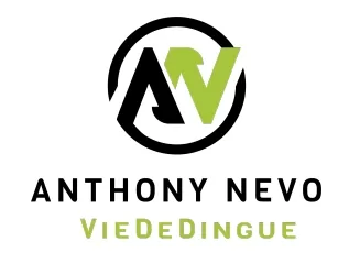 viededingue.com